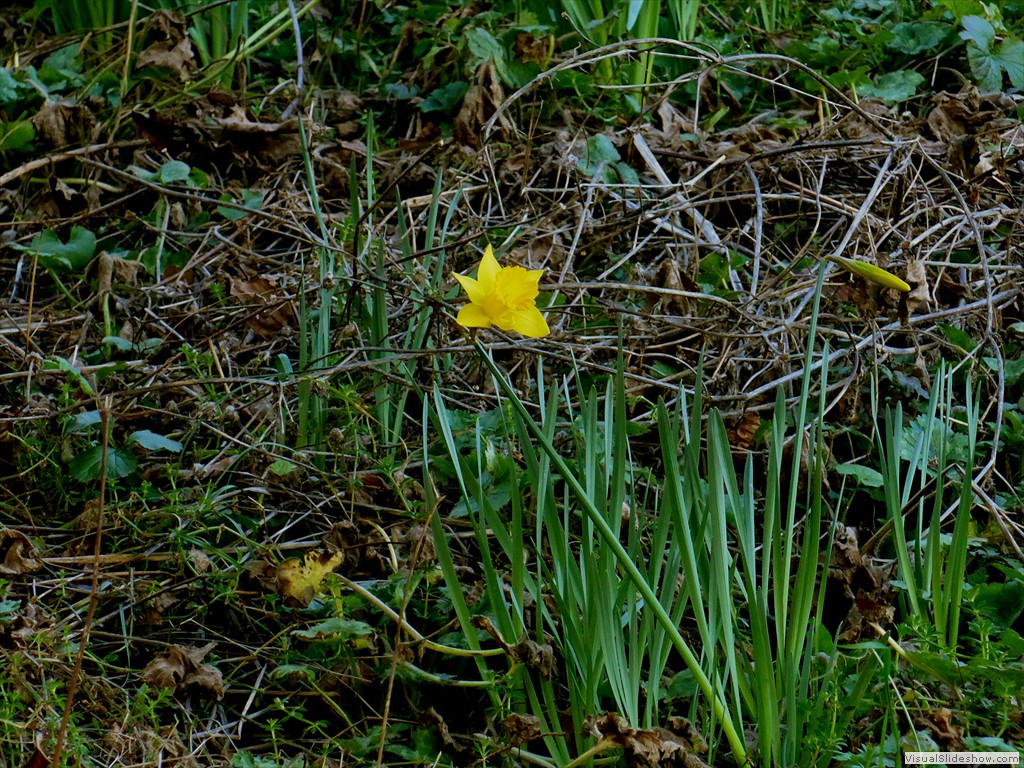P1100677