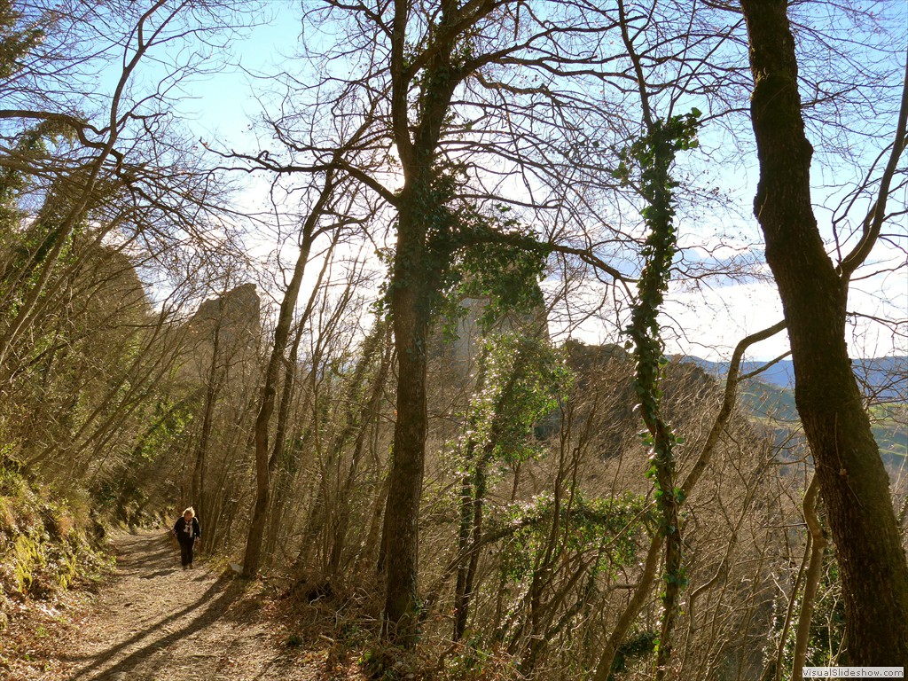 P1100696