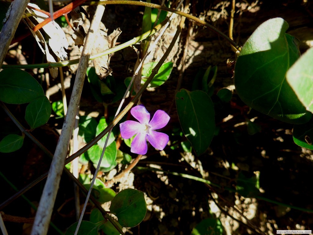P1100699