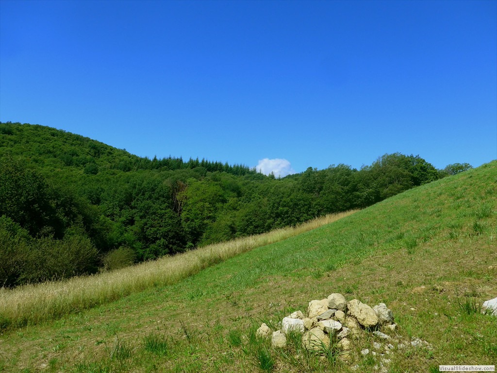 P1130552