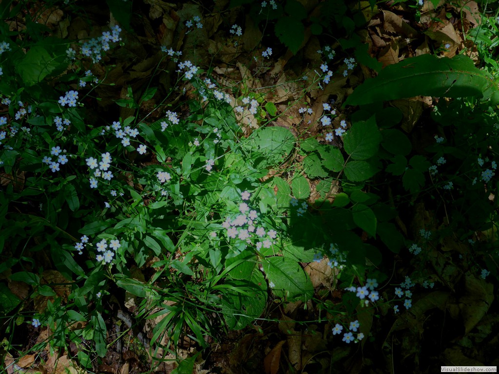 P1130553