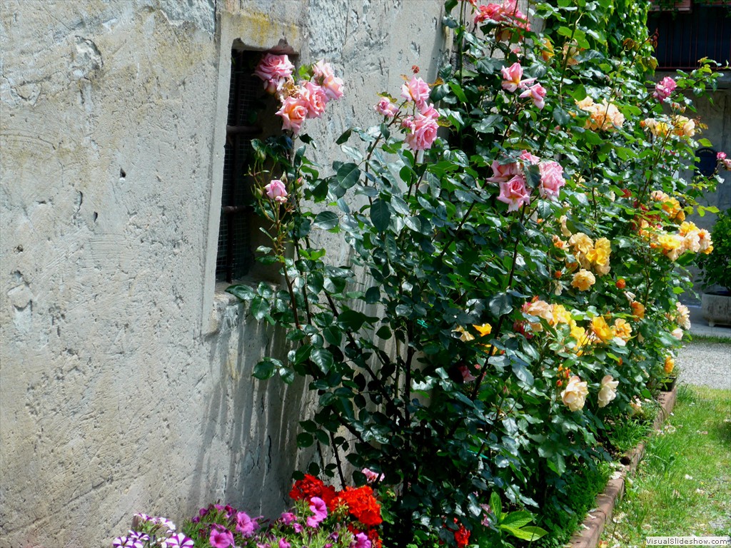 P1130566