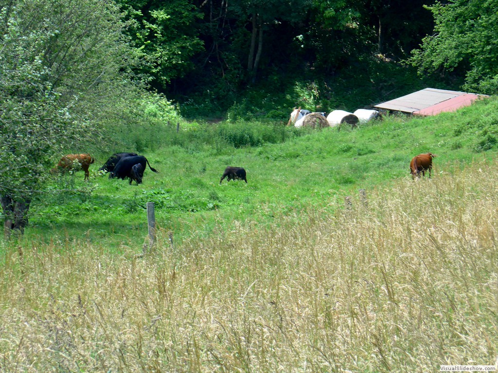 P1130576