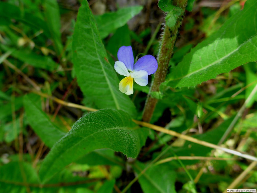 P1130578