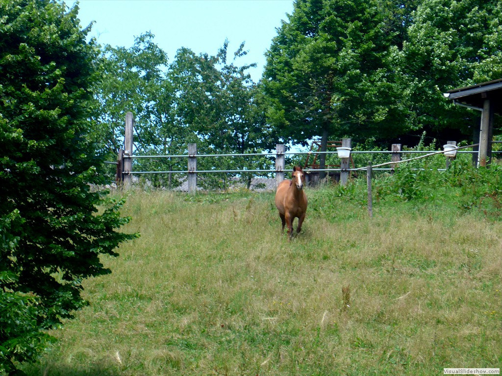 P1130581