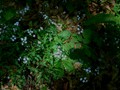 P1130553