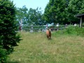 P1130581
