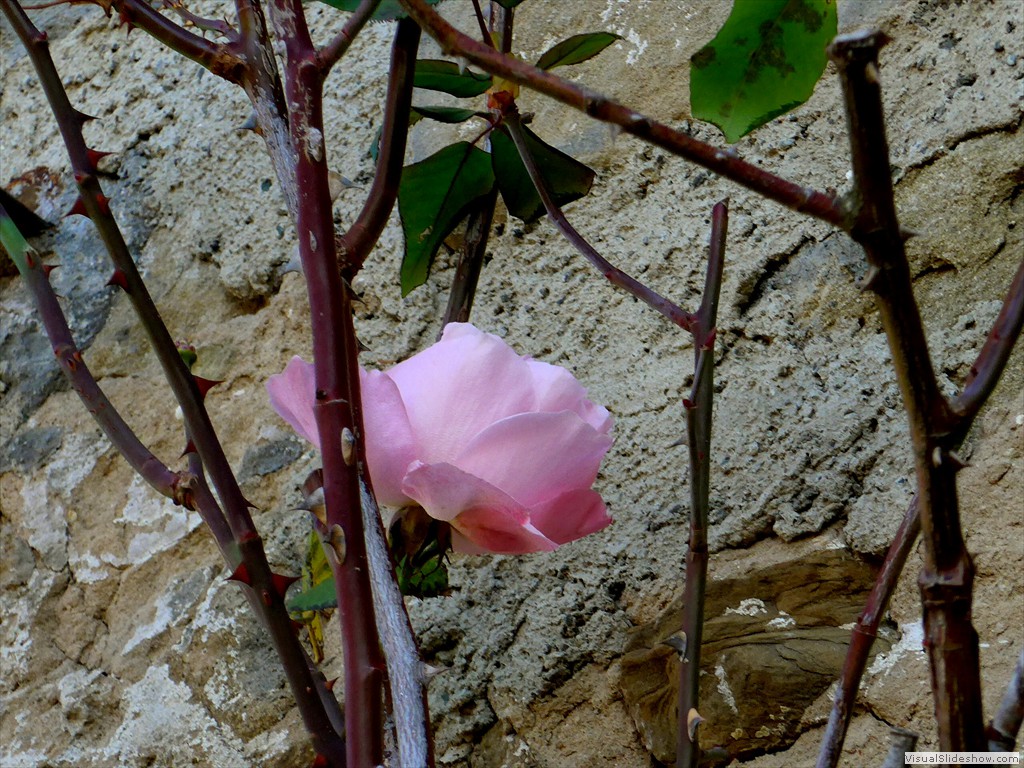 P1100052