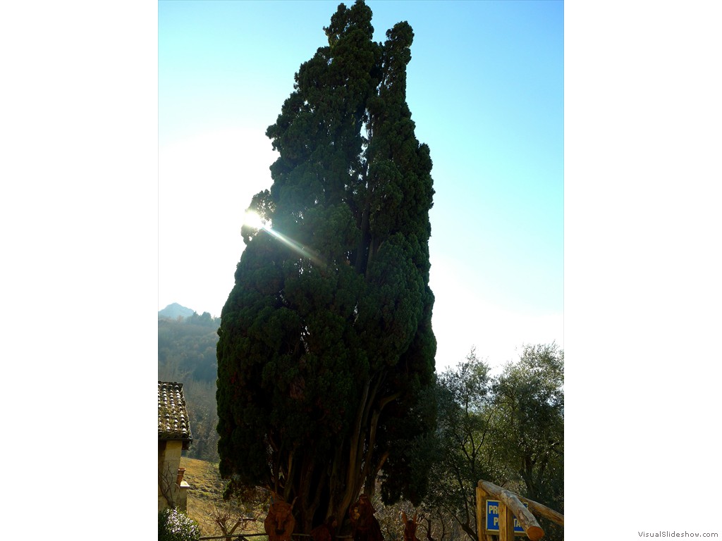 P1100058