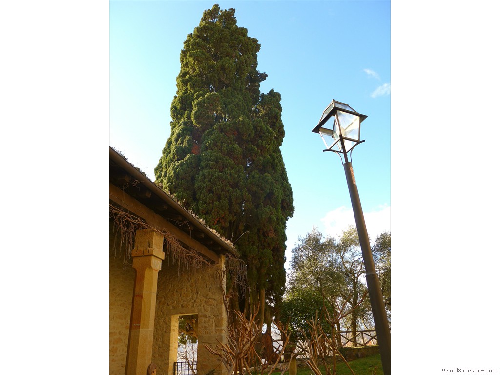 P1100060