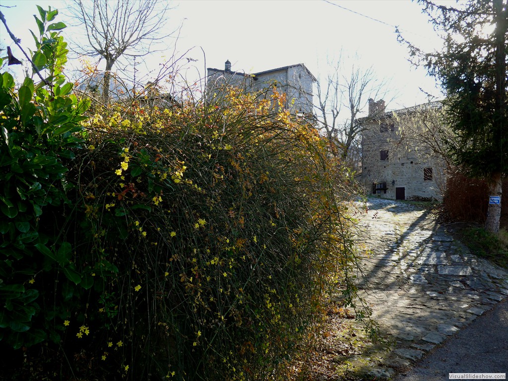 P1100081