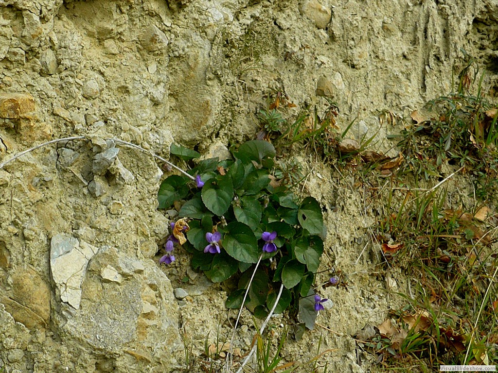 P1100084