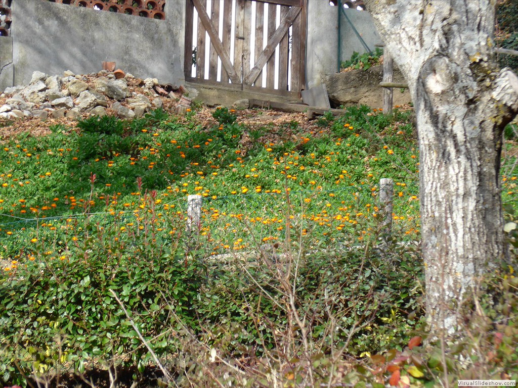 P1100100