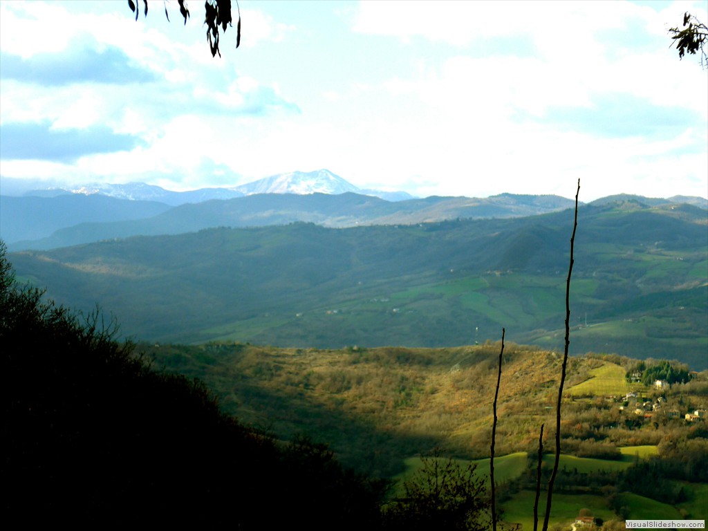 P1100103