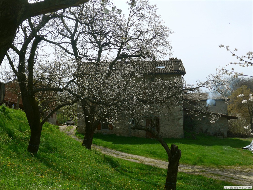 P1120497