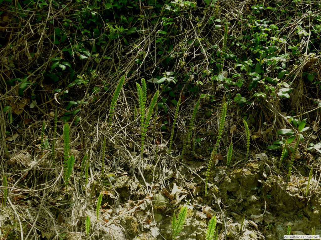 P1120511