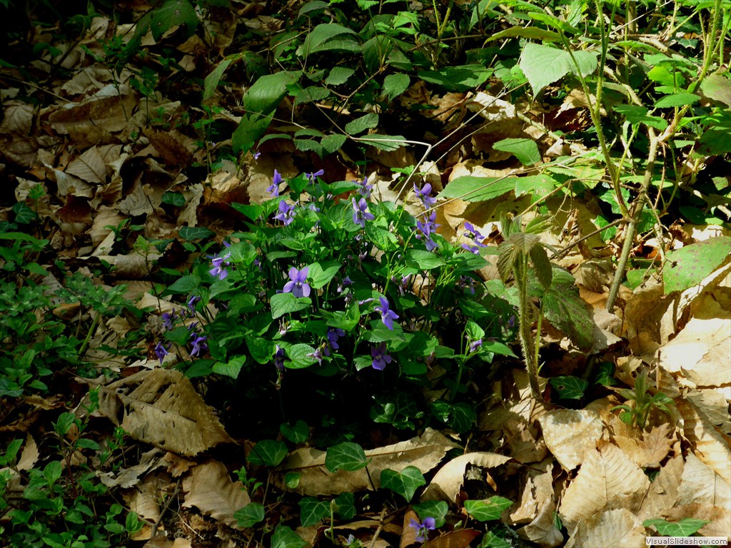 P1120512