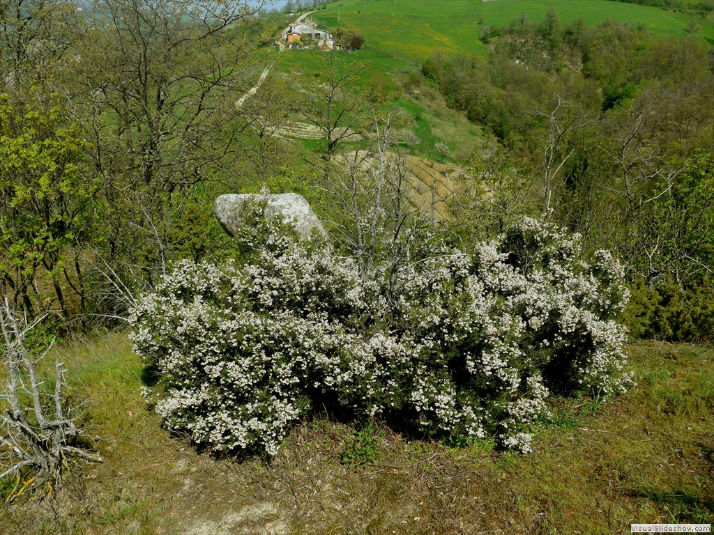 P1120525
