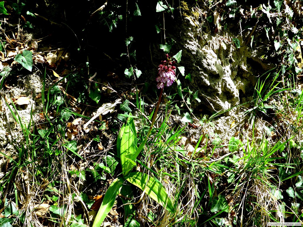 P1120527