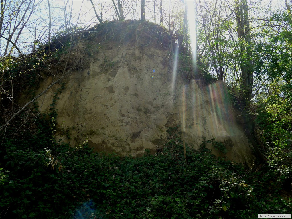 P1120538