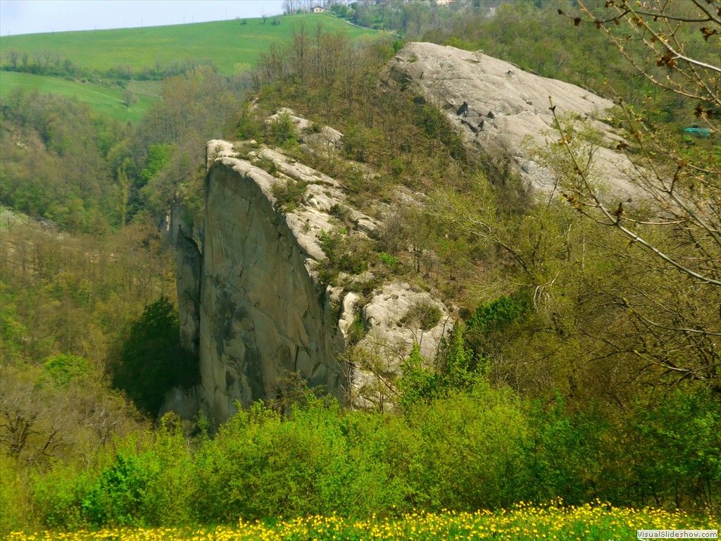 P1120541