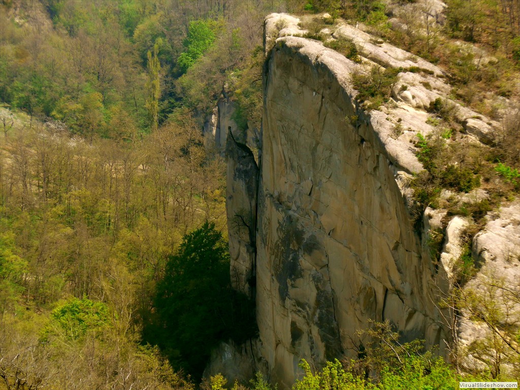 P1120542