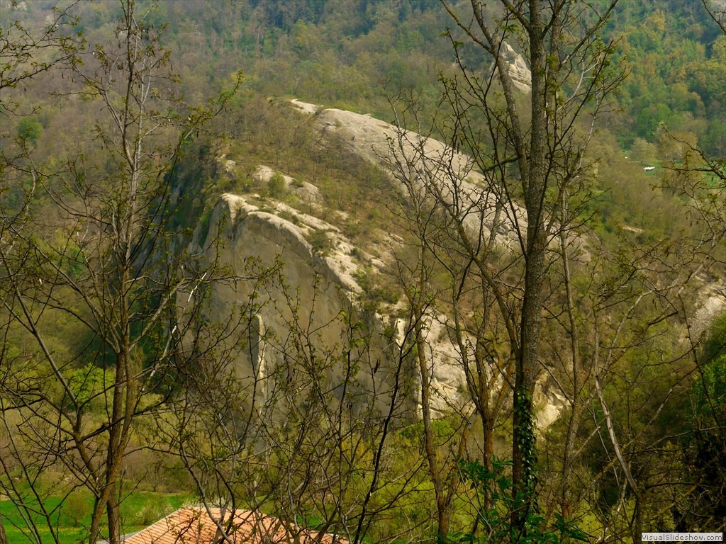 P1120575