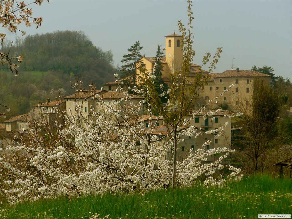 P1120599