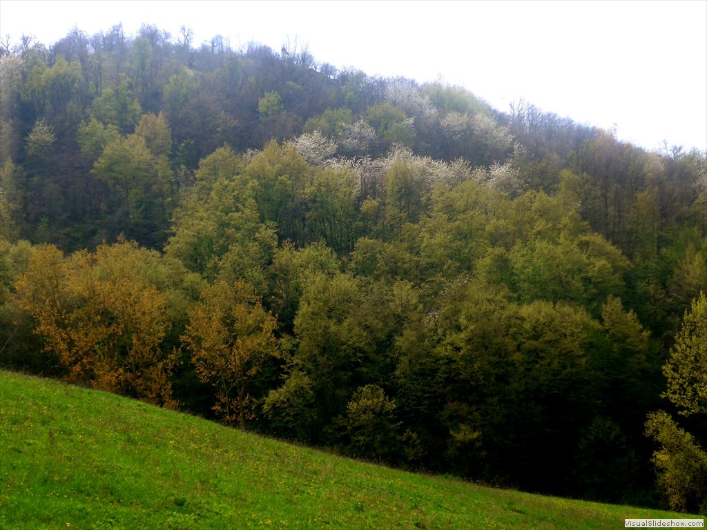 P1120616