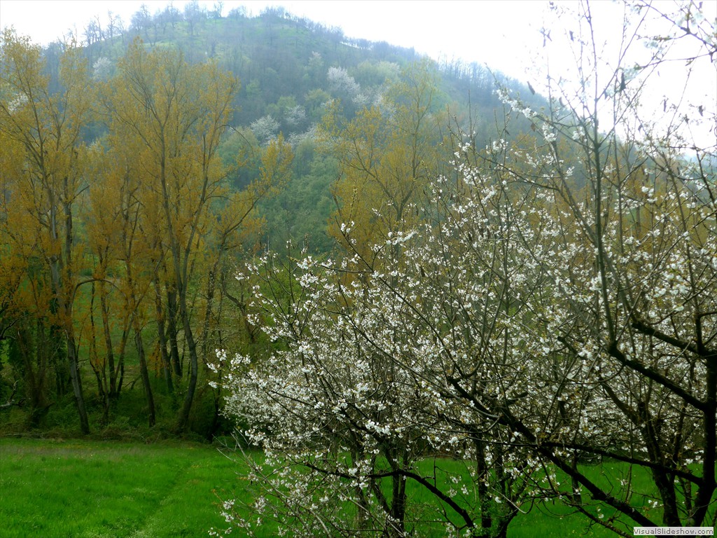 P1120623