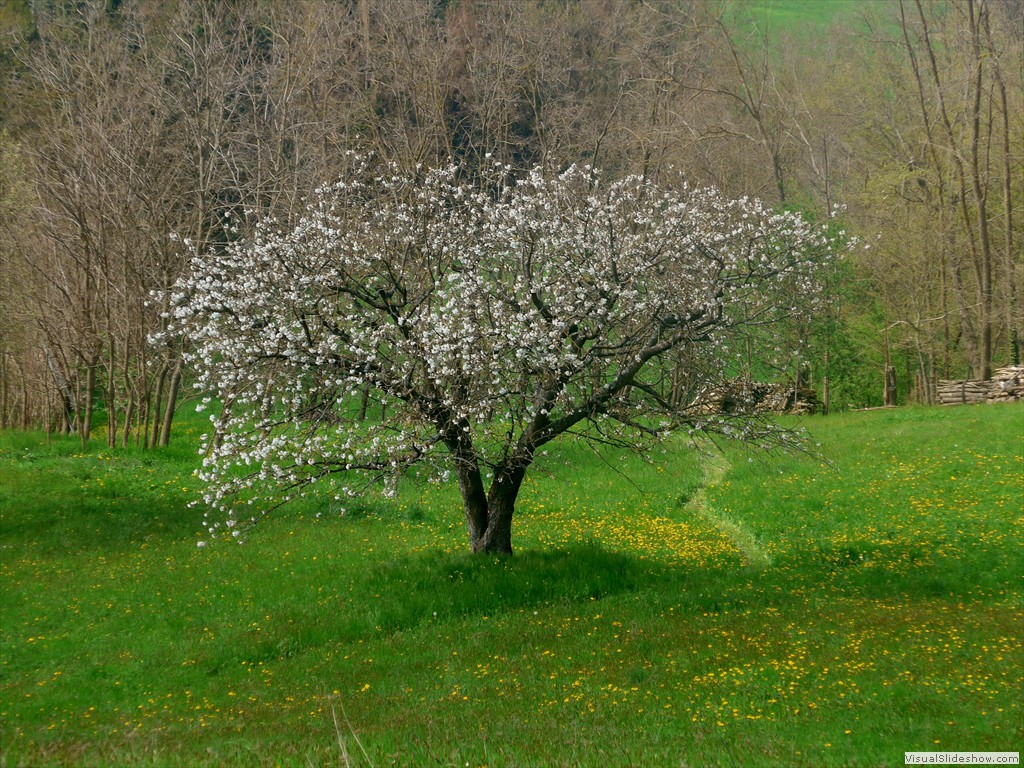 P1120636