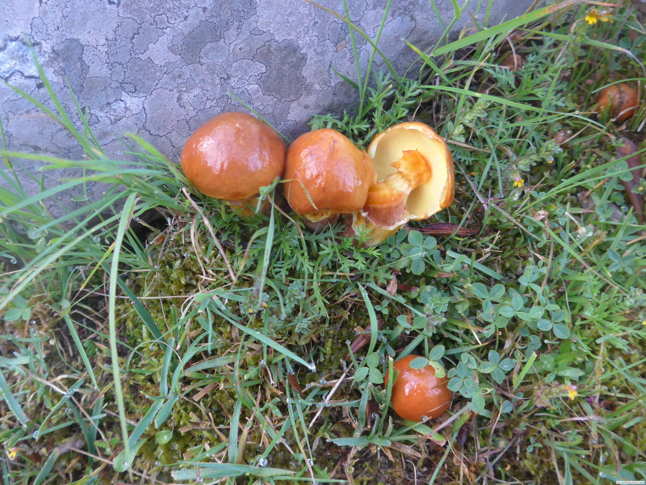 P1070390