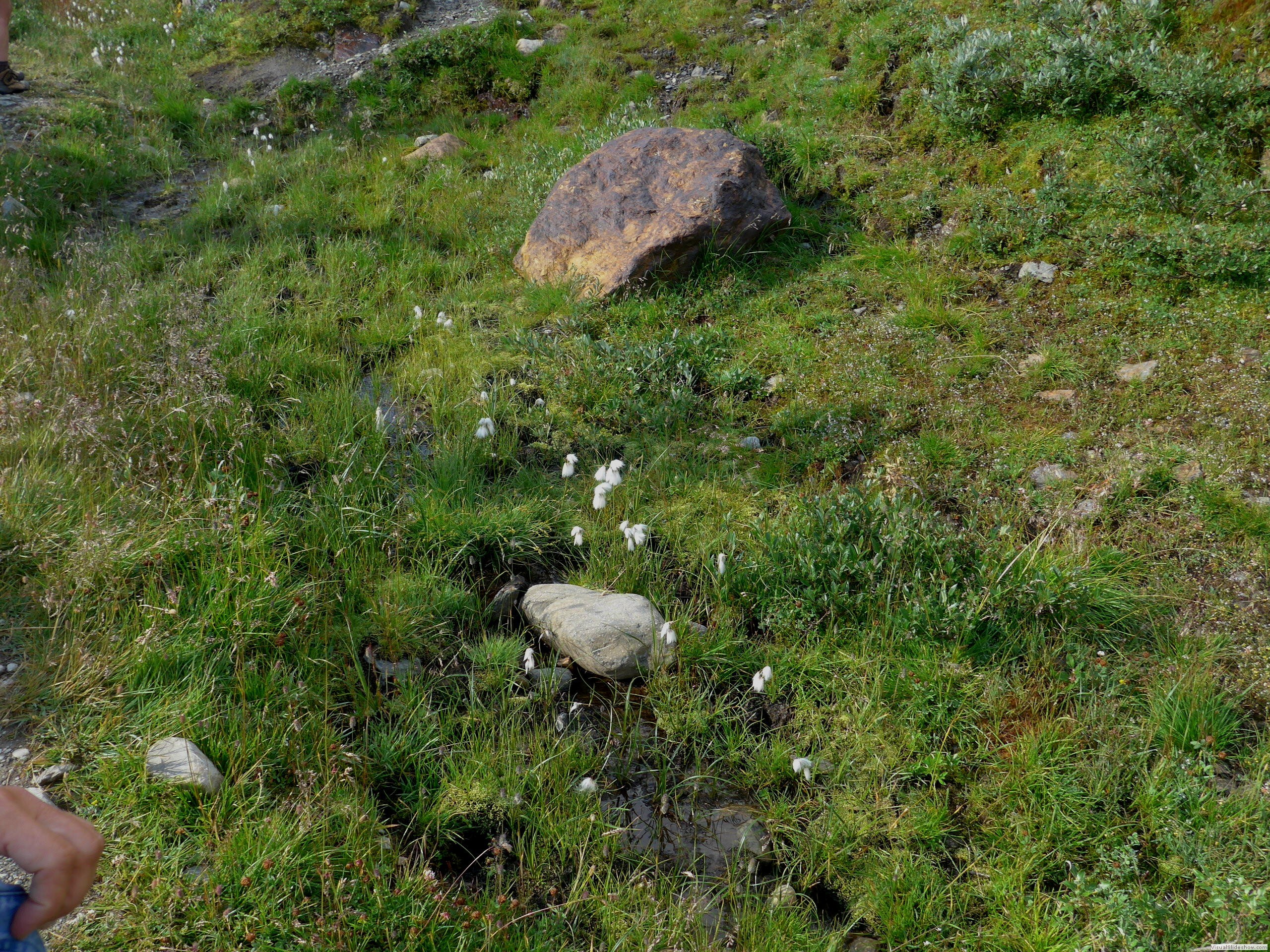 P1070407