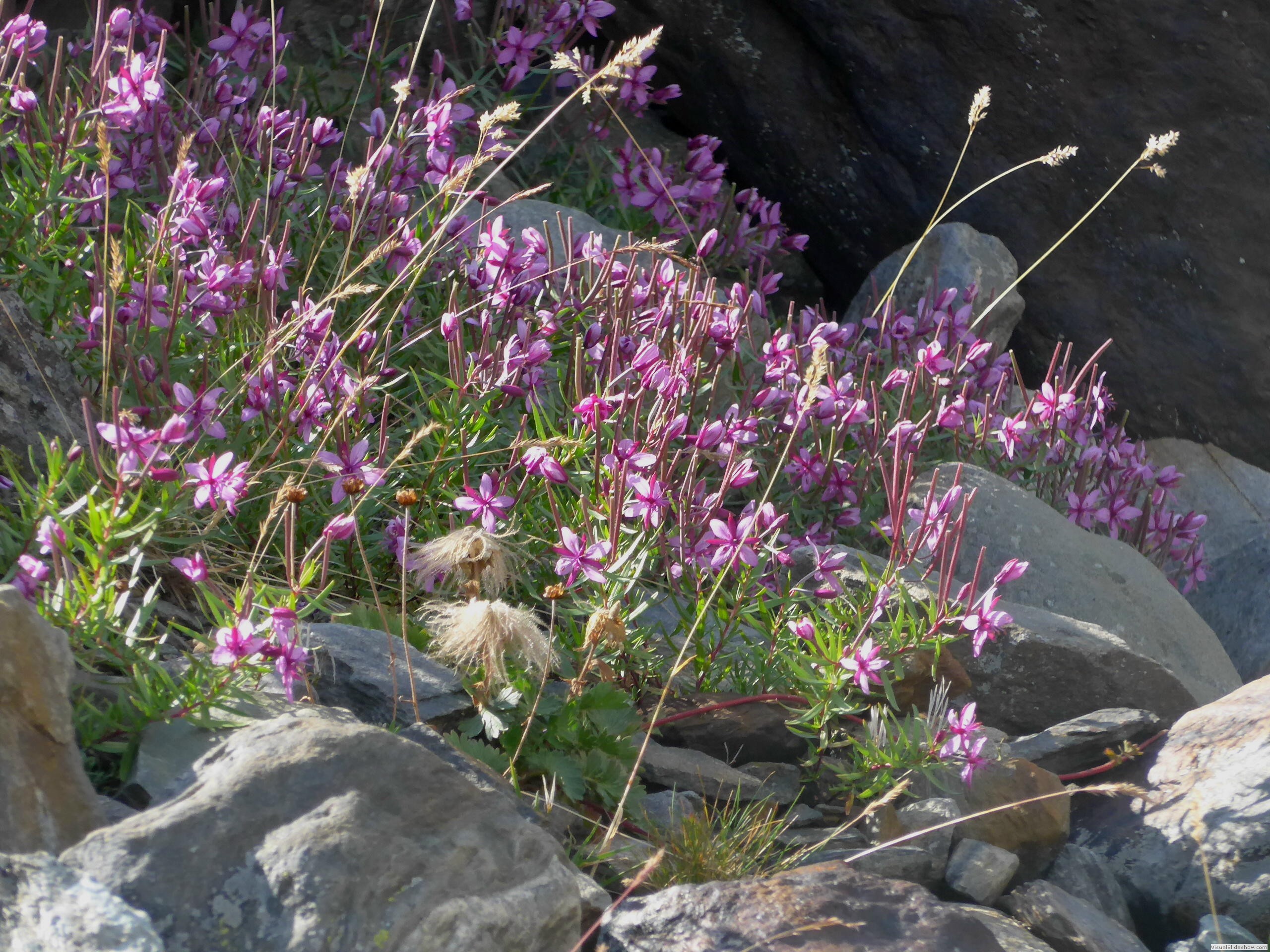P1070418