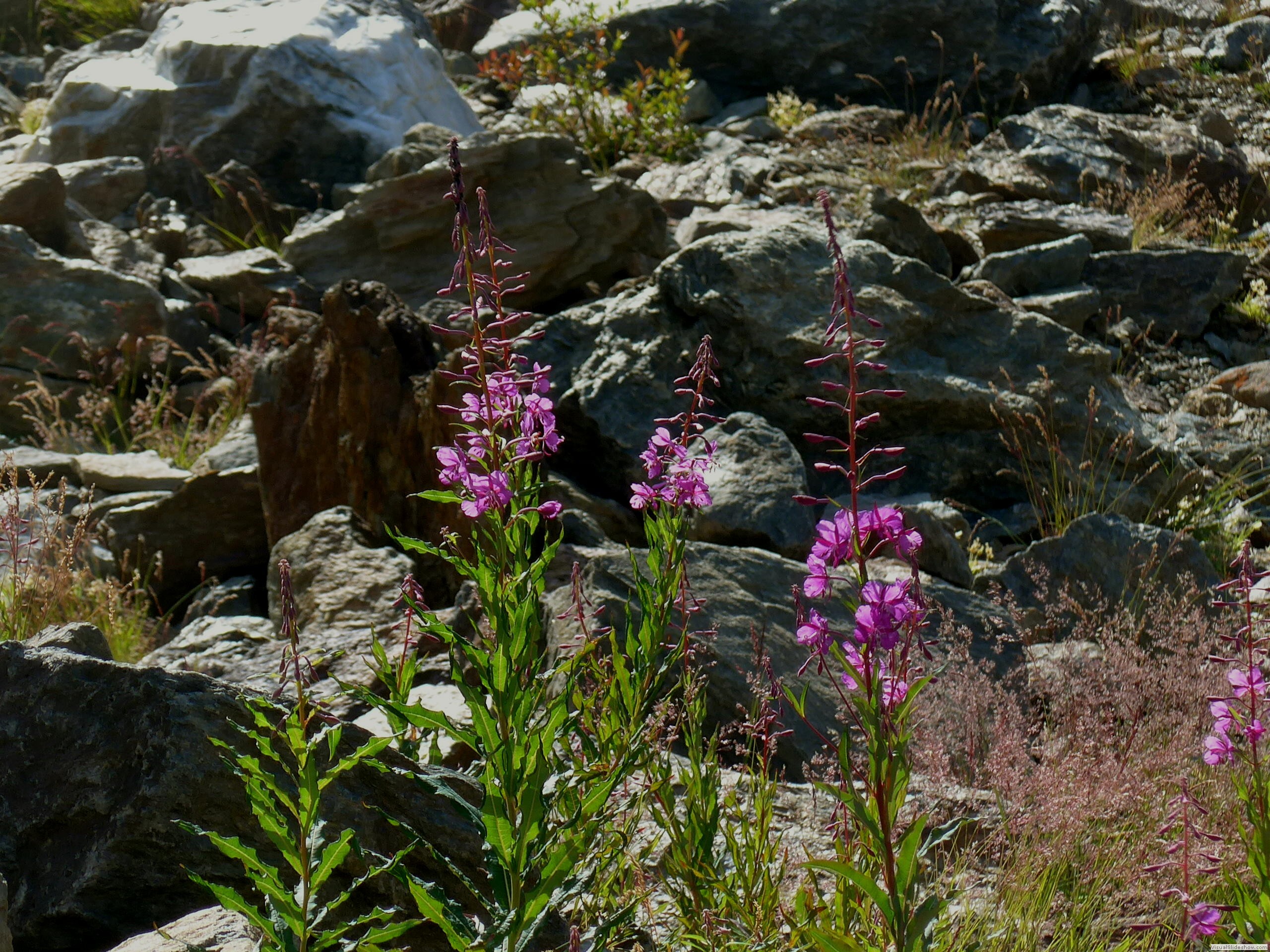 P1070477