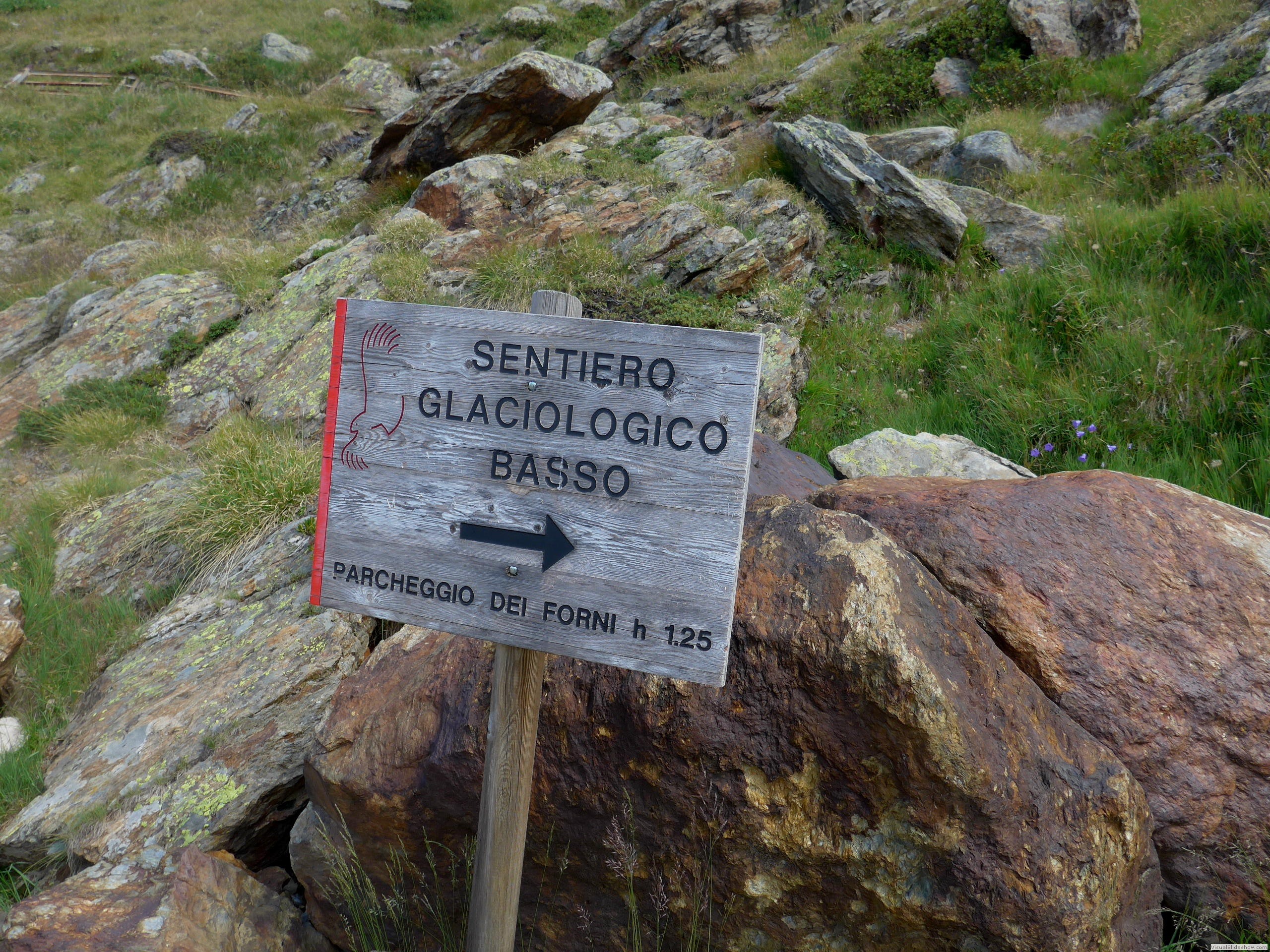 P1070503