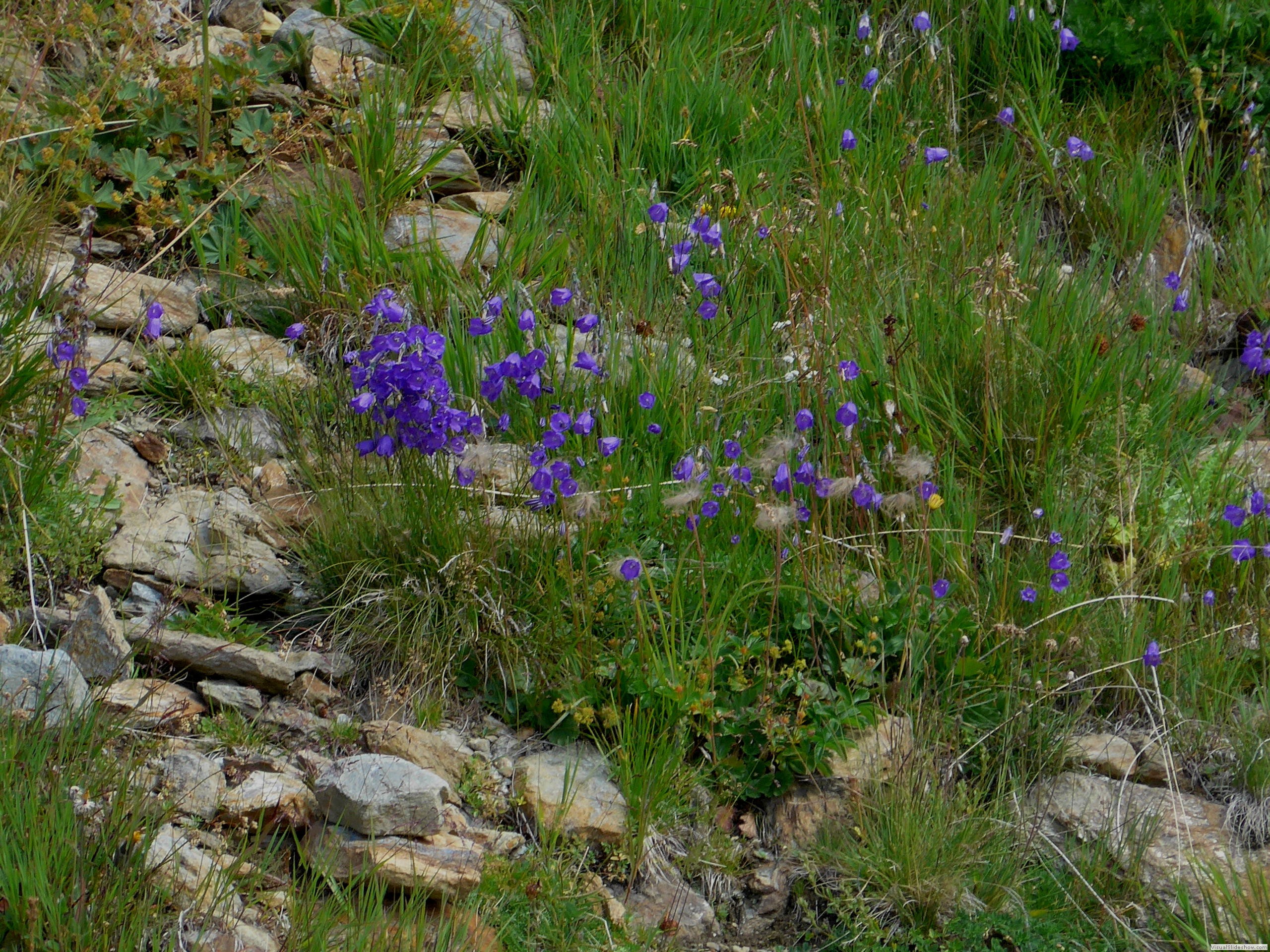P1070505