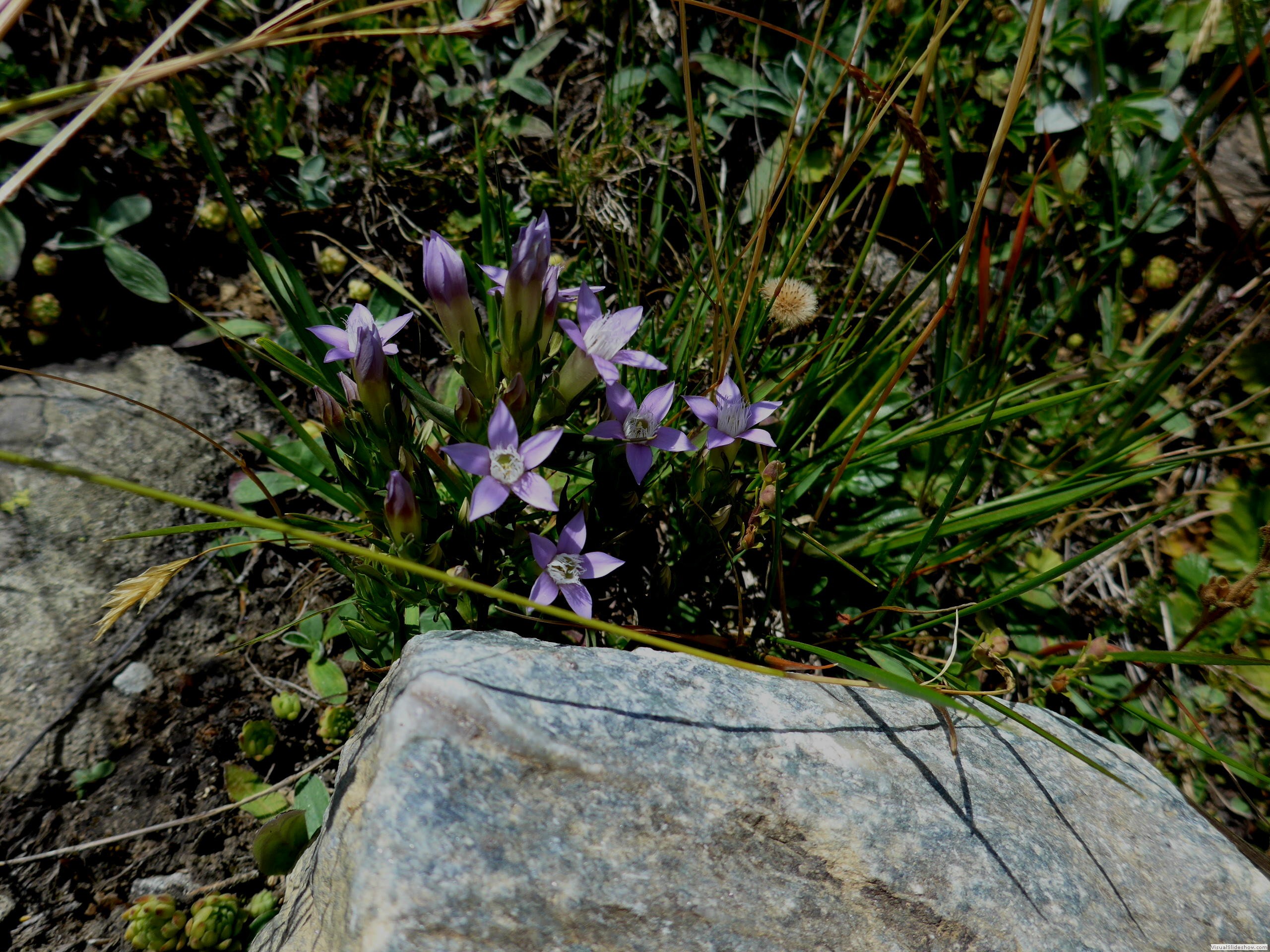 P1070545