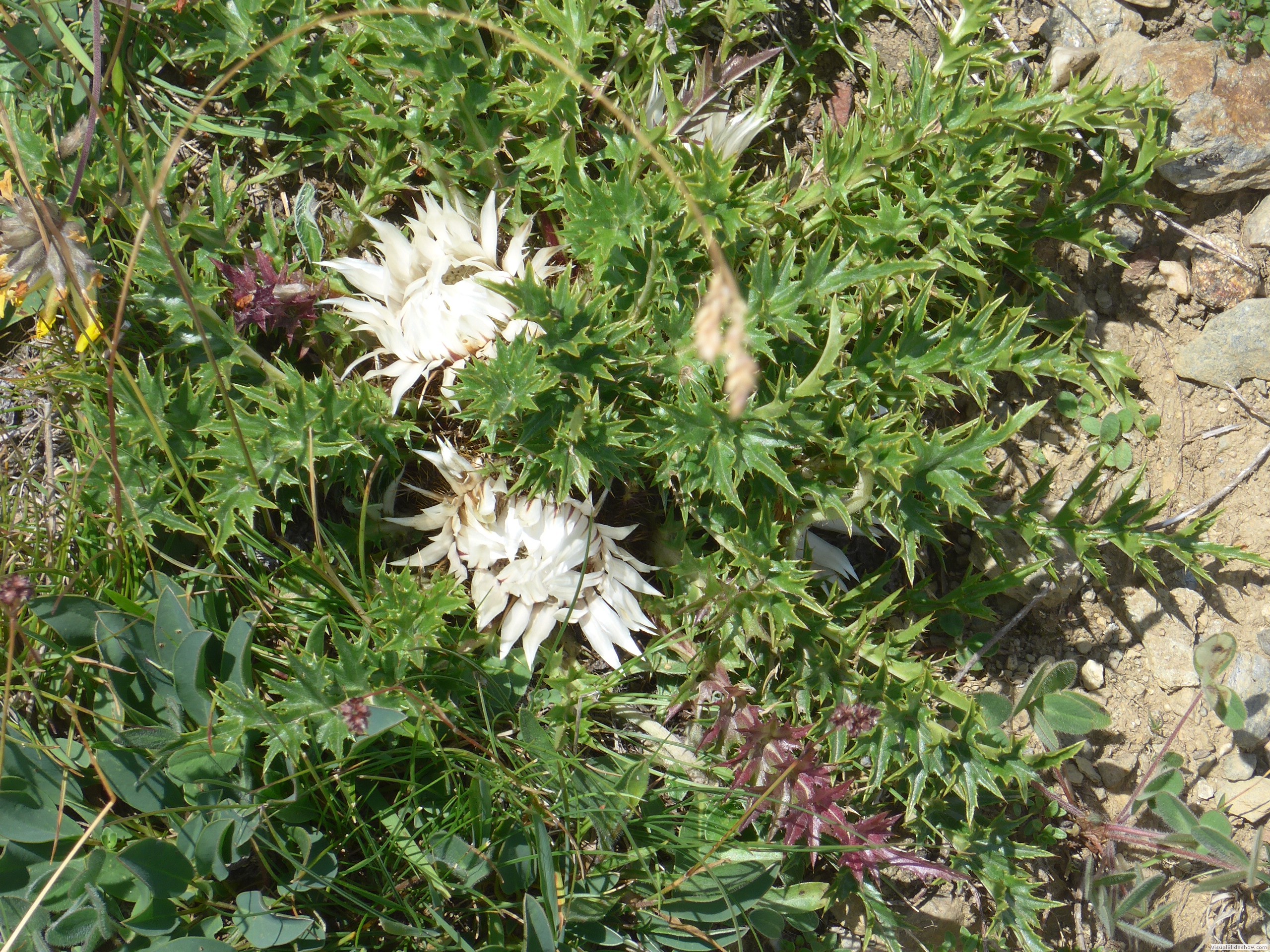 P1070547