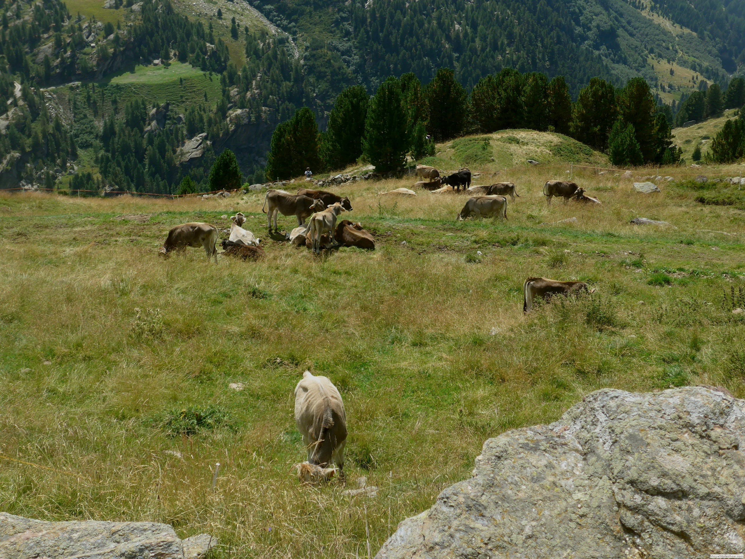 P1070552