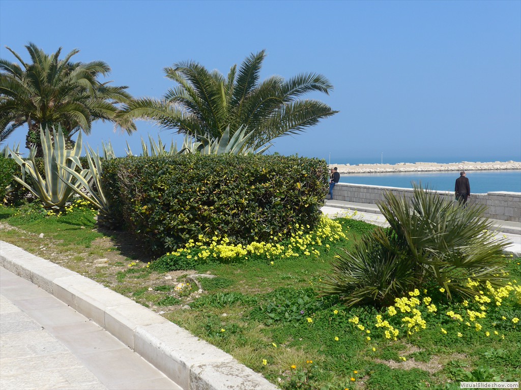 P1040081