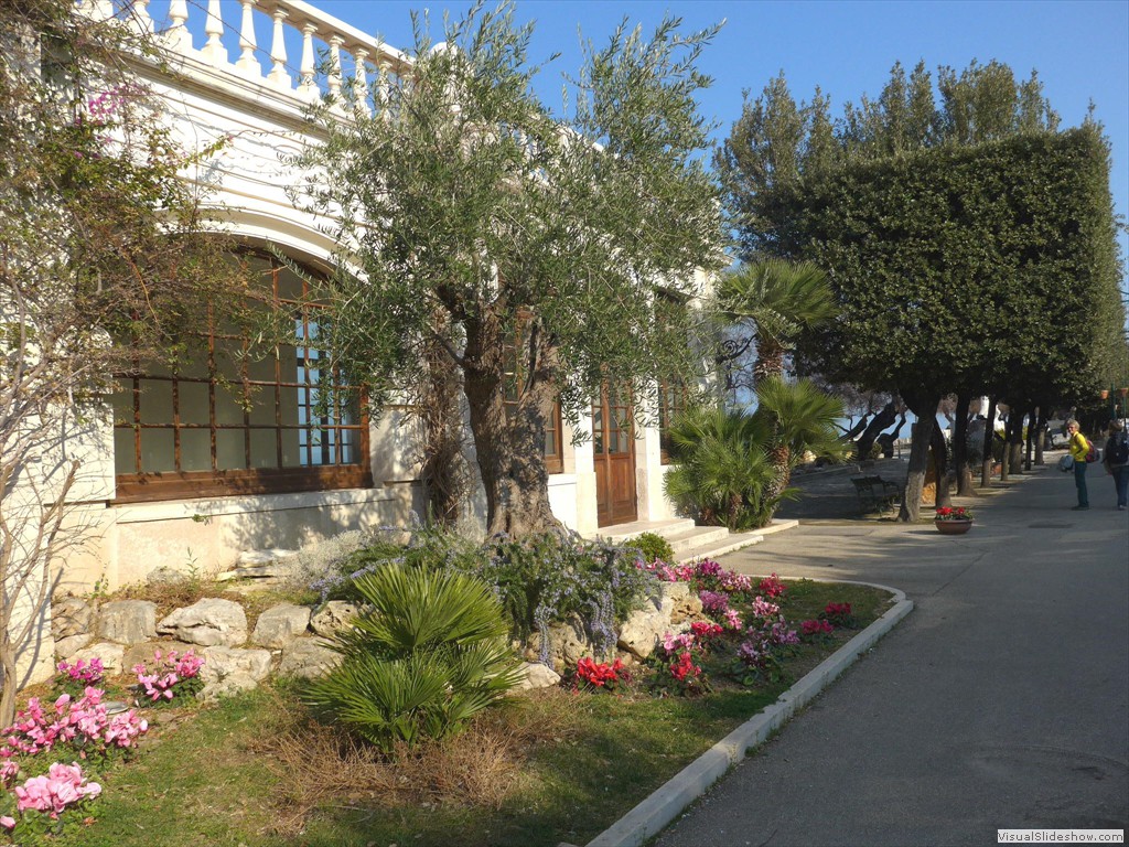 P1040126