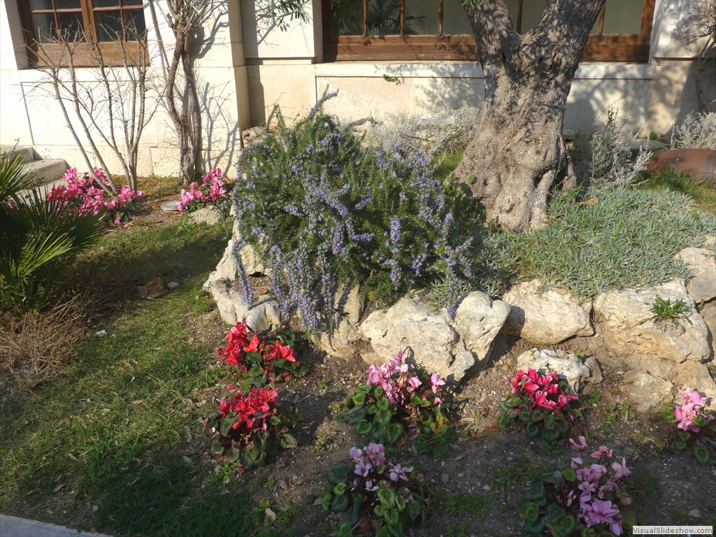 P1040127