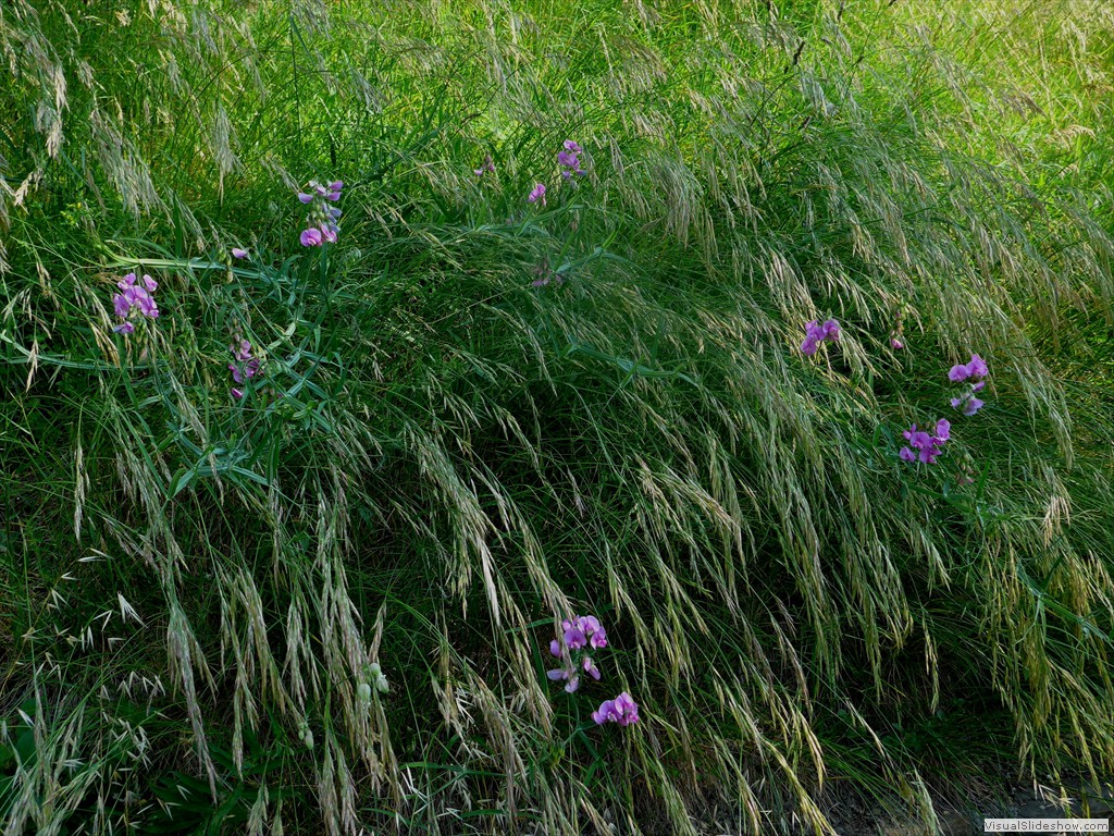 P1050819