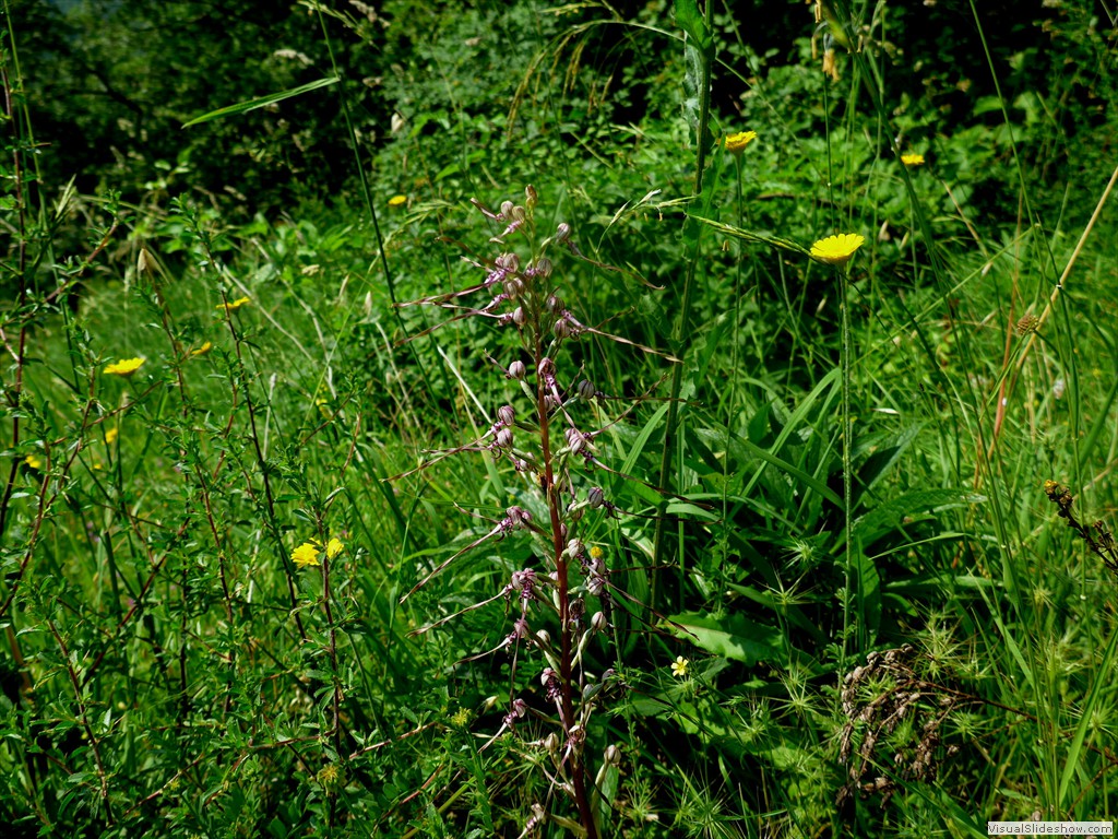 P1050824