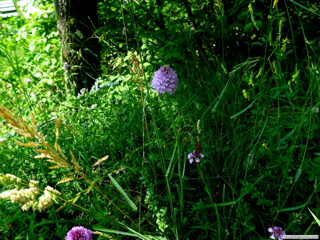 P1050829
