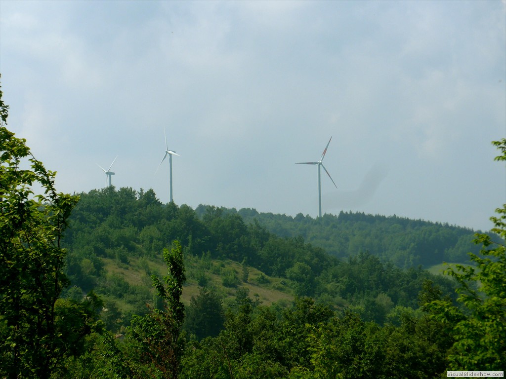 P1050834