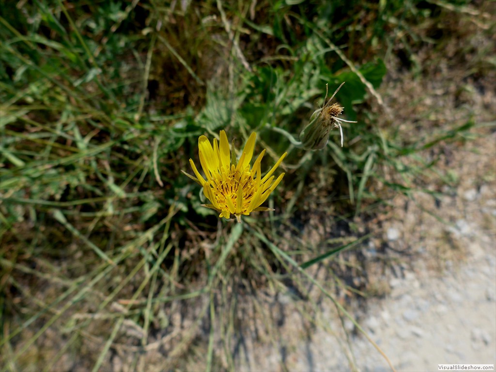 P1050837