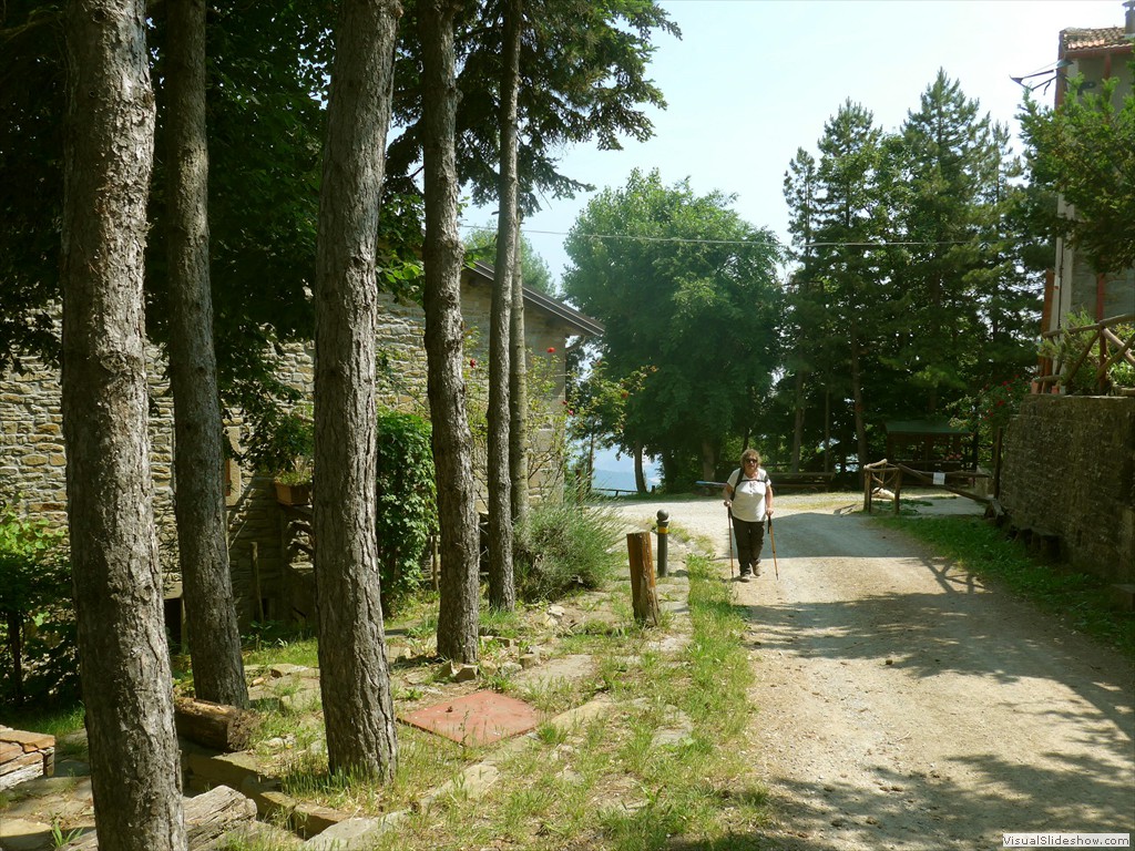 P1050839