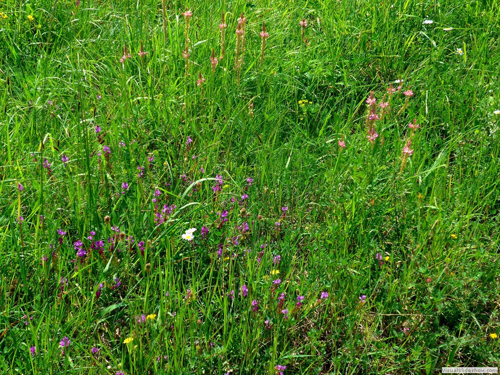 P1050841